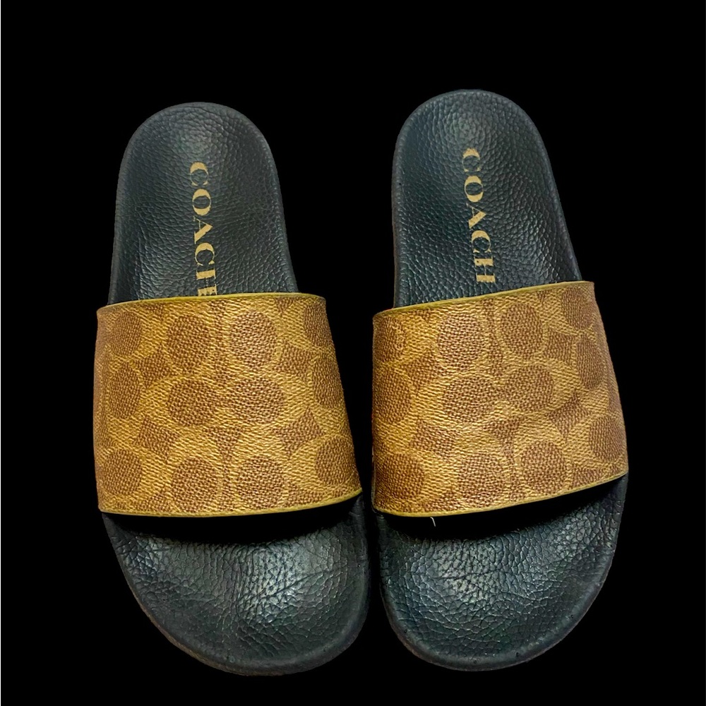 Coach slides